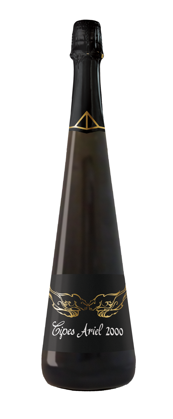 Ariel 2000 Organic Cipes Ariel 2000 Organic Cipes